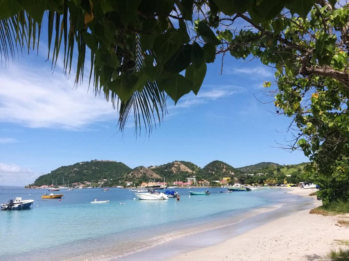 Studio 1 - Grande Anse - 4 Pers - Proche Bourg Terre-De-Haut Zewnętrze zdjęcie
