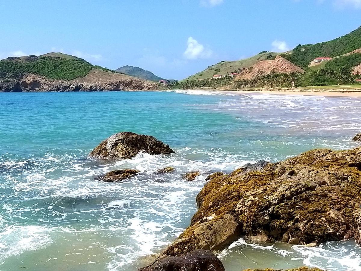 Studio 1 - Grande Anse - 4 Pers - Proche Bourg Terre-De-Haut Zewnętrze zdjęcie