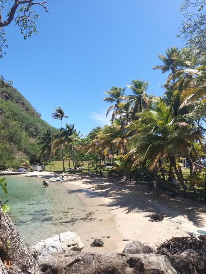 Studio 1 - Grande Anse - 4 Pers - Proche Bourg Terre-De-Haut Zewnętrze zdjęcie